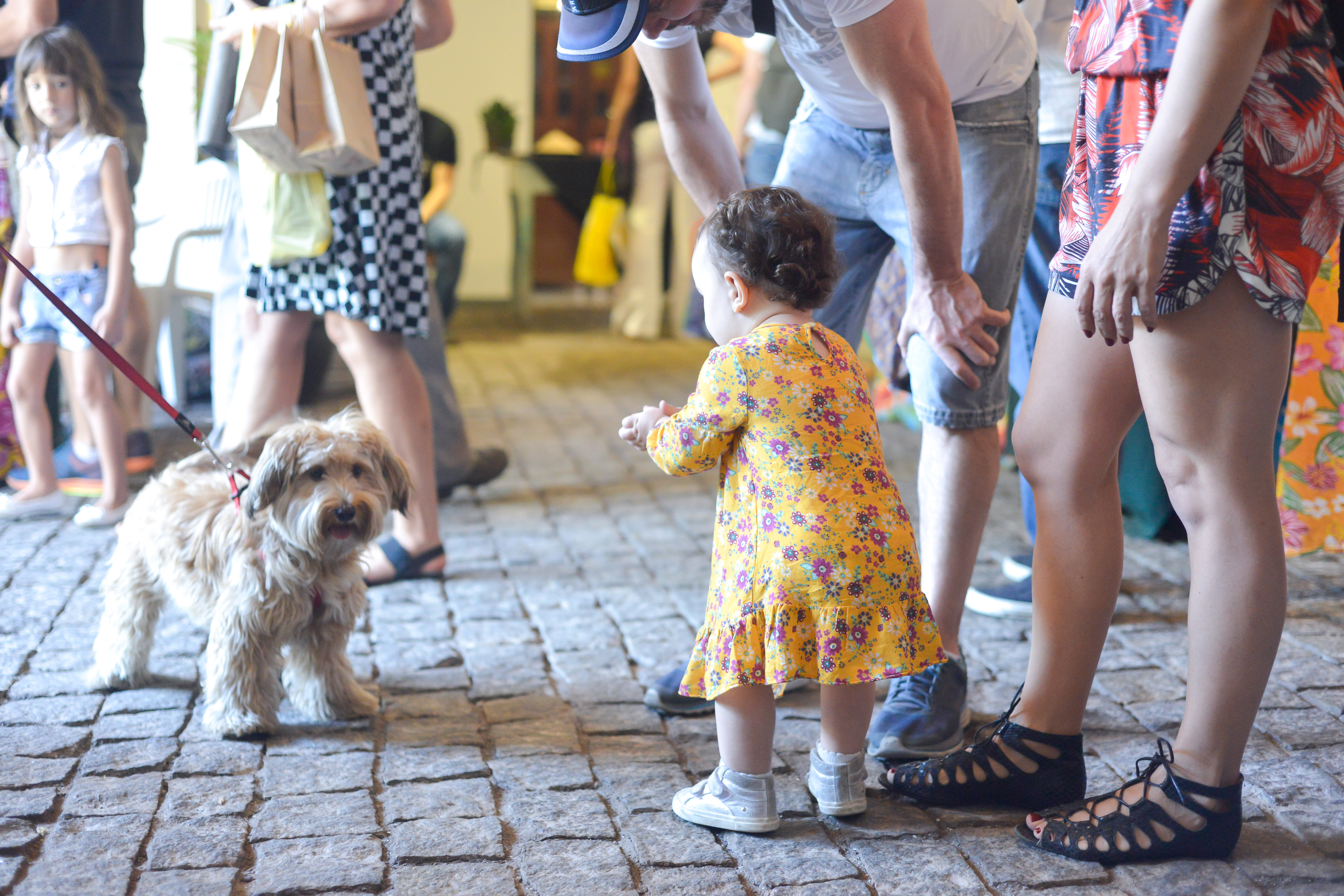 Criança e cachorro na Feira Fresca Vila211